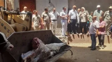 مصادرة 5 أطنان من لحوم الحيوانات المريضة المذبوحة خارج المسالخ غير الآمنة للاستهلاك البشري في قويسنا