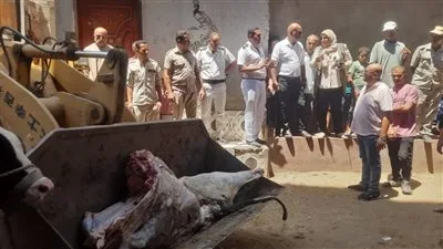 مصادرة 5 أطنان من لحوم الحيوانات المريضة المذبوحة خارج المسالخ غير الآمنة للاستهلاك البشري في قويسنا مصادرة 5 أطنان من لحوم الحيوانات المريضة المذبوحة خارج المسالخ غير الآمنة للاستهلاك البشري في قويسنا