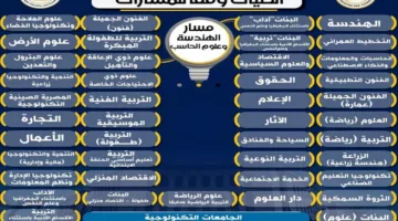 نستعرض الكليات المتاحة والمقررات الدراسية لتخصص الهندسة وعلوم الحوسبة وفقًا لنظام البكالوريا المصرية الجديد.
