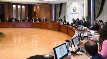الوزراء: تحديث برامج الجامعات الدولية للمعرفة وتخصيص أراضٍ صناعية في المنوفية والإسكندرية