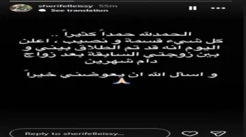 انفصال ابنة تامر أمين عن ابن عمرو الليثي بعد شهرين من زفافهما