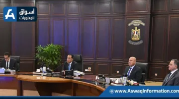 مجلس الوزراء يخصص ثلاث قطع من الأراضي في المنوفية والإسكندرية لـ “تعزيز التنمية الصناعية”