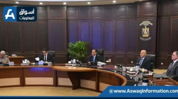 رئيس الوزراء: مشروع الضبعة يعكس إرادة البلاد في الحصول على مصادر حديثة لإنتاج كهرباء آمنة ومستدامة