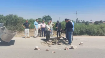 انهيار أرضي في طريق «الأحراز – طحوريا» بشبين القناطر وإجراءات لإصلاحه .. صور