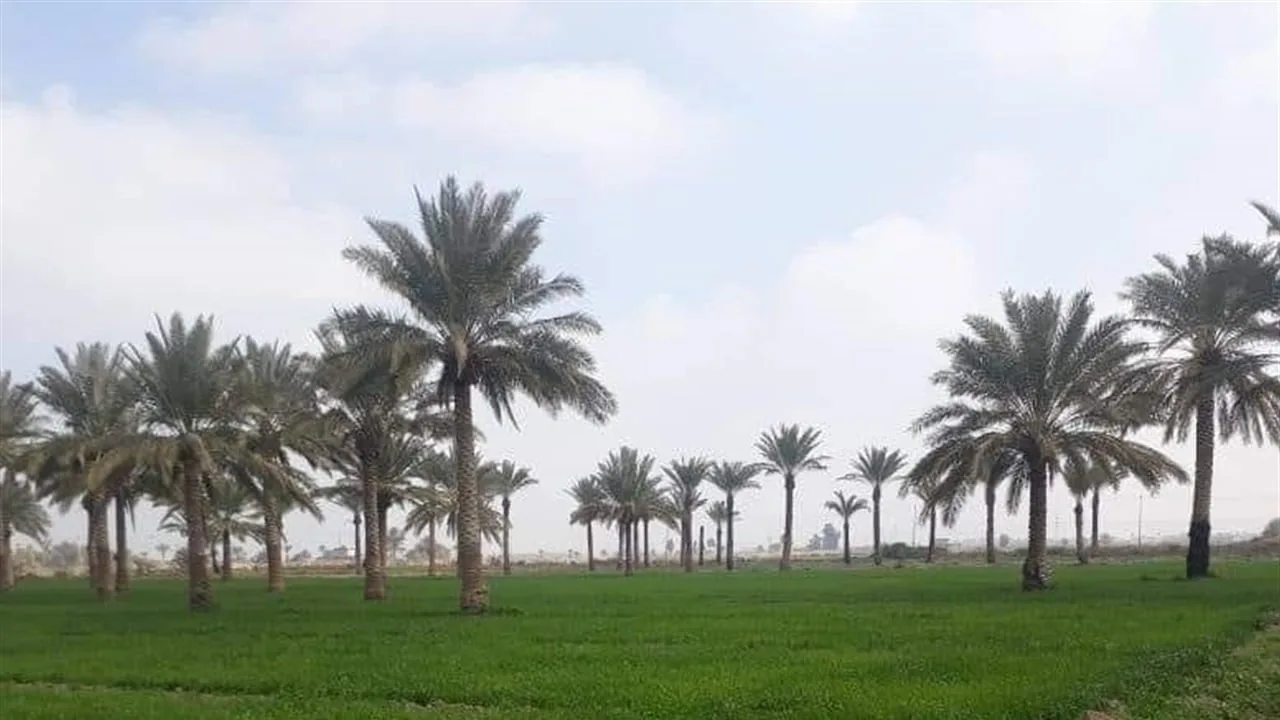 بدء عملية تحويل 7 مناطق زراعية في بغداد إلى مناطق سكنية