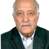 د. جمال سالمي: ربيع المدخلي تعاون بشكل إيجابي مع جهاز المخابرات الجزائرية لإقناع المسلحين السلفيين بالتخلي عن الجبال.