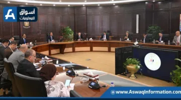 رئيس الوزراء: محطة الضبعة ستساهم في تعزيز شبكة الكهرباء بـ 4800 ميجاوات من الطاقة المتجددة
