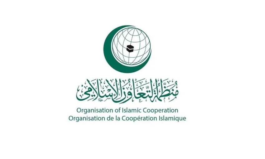 اللجنة التنفيذية لمنظمة التعاون الإسلامي تبرز أهمية وقف القتال في غزة وتسهيل عودة المهجرين. اللجنة التنفيذية لمنظمة التعاون الإسلامي تبرز أهمية وقف القتال في غزة وتسهيل عودة المهجرين.