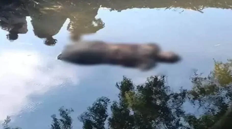 حبس والد أُلقي عليه اللوم في انتحار ابنته بسبب شكوكه في سلوكها بشبرا الخيمة