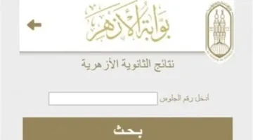 رابط التحقق من نتائج الثانوية الأزهرية 2025 باستخدام رقم الجلوس