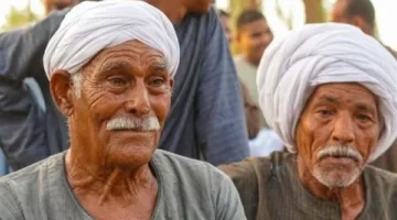 معهد التخطيط: لا يمكن ضمان حماية فعالة لكبار السن دون تعزيز القدرة الاقتصادية واستثمار مبكر في مرحلة الشيخوخة.