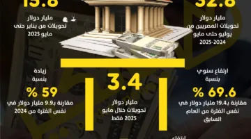 تحويلات المغتربين المصريين تصل إلى أرقام قياسية في 2025 | رسم بياني