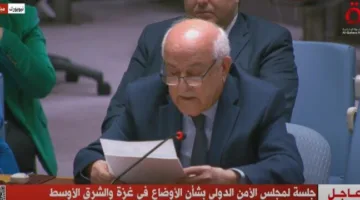 مندوب فلسطين لدى الأمم المتحدة يُثني على مساعي مصر لتحقيق هدنة في غزة