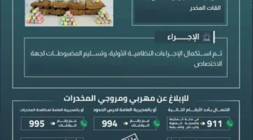 إحباط محاولة تهريب 189 كيلوغراماً من نبات القات في عسير