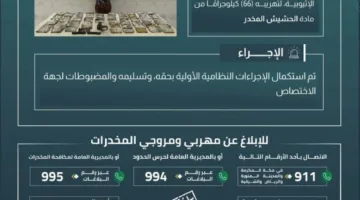 إلقاء القبض على شخص لتهريبه 66 كيلوغرامًا من مادة القنب.