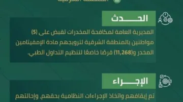 إلقاء القبض على خمسة أشخاص في الشرقية بتهمة الترويج للإمفيتامين وأقراص طبية خاضعة للتنظيم.