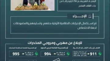حرس الحدود في جازان يت apprehends أربعة مخالفين لتهريبهم 56 كيلوغرامًا من نبات القات