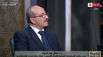 جمال عبد الجواد: مصر استطاعت تجاوز تحديات المنطقة بفضل إرثها التاريخي وقوتها الداخلية.