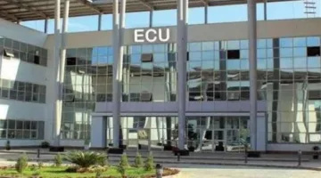 الجامعة المصرية الصينية تعلن عن فرص عمل متاحة في مجموعة من التخصصات