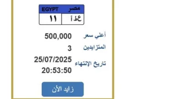 سعرها 500 ألف جنيه.. المنافسة تت intensify على لوحة سيارة فريدة