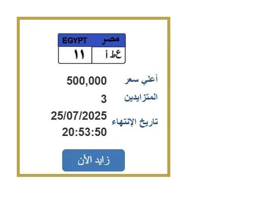 سعرها 500 ألف جنيه.. المنافسة تت intensify على لوحة سيارة فريدة