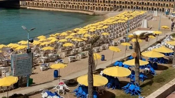 تنطلق في 25 يوليو… برنامج فعاليات “تعليم الإسكندرية” بمناسبة احتفالات عيد المحافظة.
