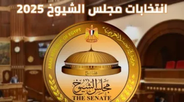 الأيام الأخيرة: تجمعات كبيرة ونشاط انتخابي قبل فترة الصمت الانتخابي لانتخابات مجلس الشيوخ 2025