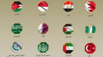 تصريح مصري عربي إسلامي: إسرائيل ليست صاحبة السيادة على الأراضي الفلسطينية المحتلة.