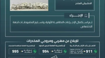 حرس الحدود في نجران ينجح في منع تهريب 426 كيلوغرامًا من مخدر الحشيش