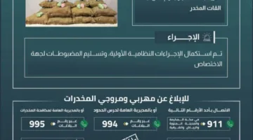 حرس الحدود في جازان يوقف محاولة تهريب 300 كيلوجرام من نبتة القات المخدرة.
