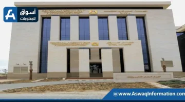 التنظيم والإدارة يتيح الاستعلام عن نتائج فحص الشكاوى في مسابقة 1000 وظيفة بوزارة الأوقاف