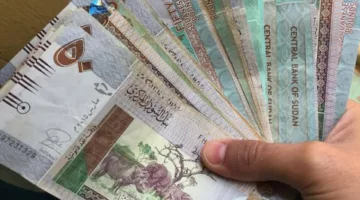 الجنيه السوداني ينخفض إلى مستوى قياسي بسبب زيادة الواردات