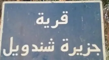 «جزيرة شندويل.. أرض الوعود الضائعة».. توجيهات المحافظ ما زالت بلا أثر ومشروع الصرف الصحي لا يزال مجرد نصوص على ورق