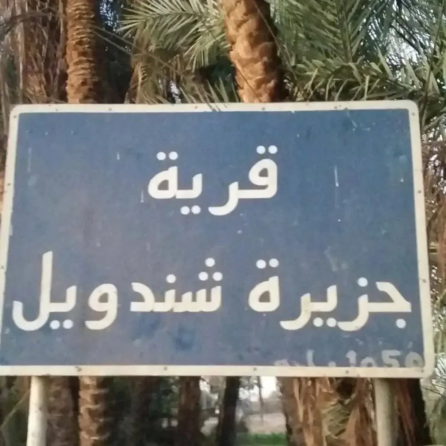 «جزيرة شندويل.. أرض الوعود الضائعة».. توجيهات المحافظ ما زالت بلا أثر ومشروع الصرف الصحي لا يزال مجرد نصوص على ورق «جزيرة شندويل.. أرض الوعود الضائعة».. توجيهات المحافظ ما زالت بلا أثر ومشروع الصرف الصحي لا يزال مجرد نصوص على ورق