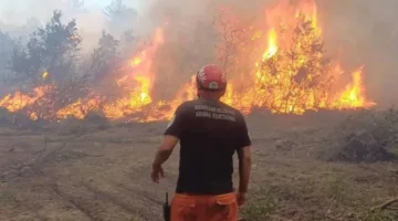 د raging fire in Turkey claims the lives of 11 firefighters