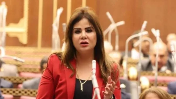 نائبة: مصر تواصل تأييدها للشعب الفلسطيني من المقدمة.
