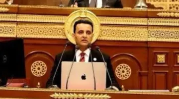نائب يشيد ببيان الخارجية: مصر تدير الأزمات بفعالية وليس عبر الشعارات.