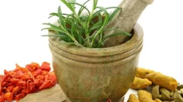 أفضل الأعشاب الطبيعية لعلاج الإمساك المزمن: السنا والعندباء أبرزها
