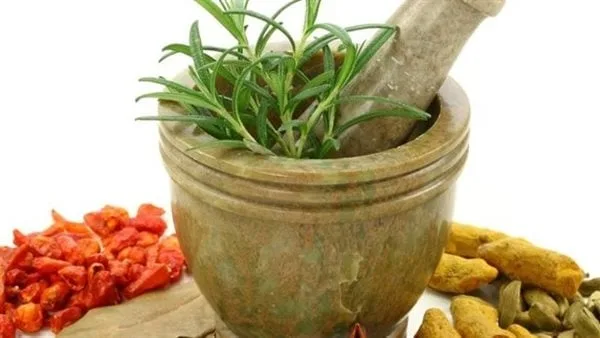 أفضل الأعشاب الطبيعية لعلاج الإمساك المزمن: السنا والعندباء أبرزها أفضل الأعشاب الطبيعية لعلاج الإمساك المزمن: السنا والعندباء أبرزها