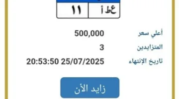 مزاد مثير على لوحة سيارة فريدة برقم «ع ط أ 11» يصل إلى نصف مليون جنيه
