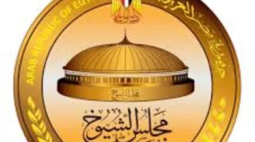 انتخابات مجلس الشيوخ 2025 | ما هي طرق التحقق من هوية الناخب عند التصويت من الخارج؟