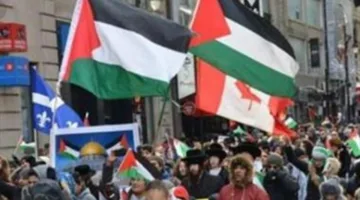 بعد فرنسا.. كندا تخطط للاعتراف بدولة فلسطين