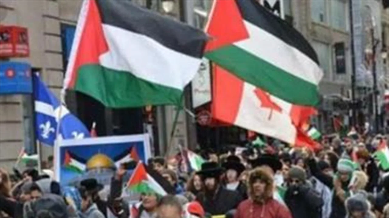 بعد فرنسا.. كندا تخطط للاعتراف بدولة فلسطين بعد فرنسا.. كندا تخطط للاعتراف بدولة فلسطين