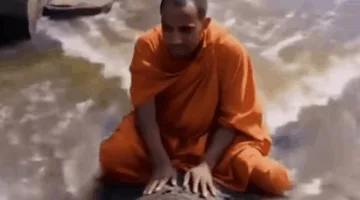 ما هي الحقيقة وراء تمساح التاكسي؟