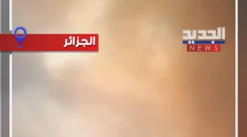 حرائق غابات غير عادية في عدد من الولايات الجزائرية (فيديو)