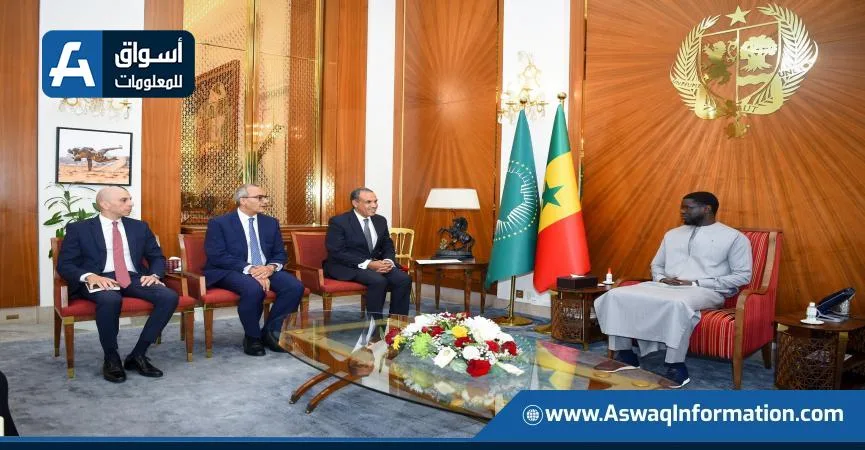 وزير الخارجية: الشركات المصرية تسعى لتعزيز تواجدها في السوق السنغالي