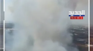 حرائق كبيرة ت devastate غابات أنطاليا في تركيا (فيديو)