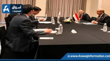 وزير الطيران المدني يناقش مع الشركات الكورية آفاق التعاون في تطوير المطارات