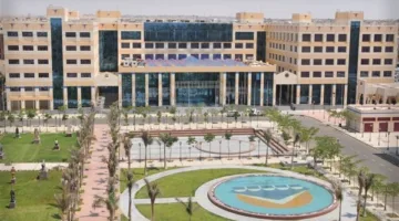 مقارنة بين جامعة 6 أكتوبر وجامعة MUST لعام 2025 من حيث التكاليف والتخصصات الأكاديمية