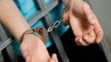 أسلحة توصيل.. حكم ضد مشغل صفحة فيسبوك للترويج لبيع الأسلحة البيضاء